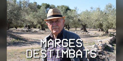 Cover image for Marges Destimbats (Crumbled Stone Walls)