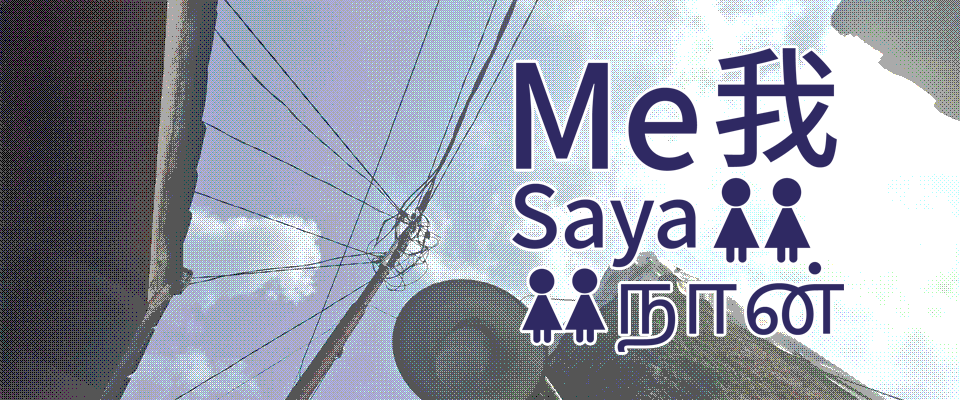 Me / 我 / Saya / நான்