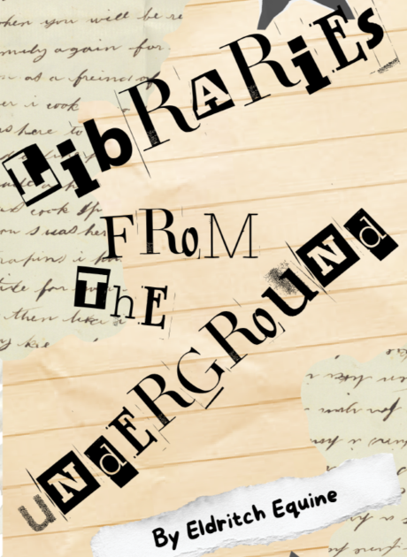 Cover image for Libraries From The Underground