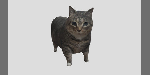 Cover image for oiia CAT - TOP SECRET PROJECT