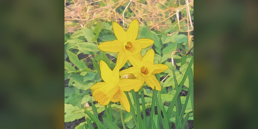 Cover image for Negative Yellow