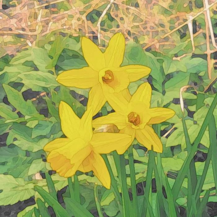 Cover image for Negative Yellow