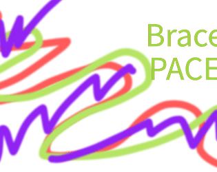 BRACE PACE game screenshot