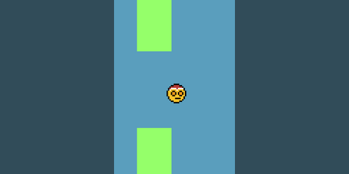 Cover image for Bird Game