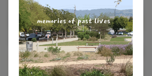 Cover image for memories of past lives