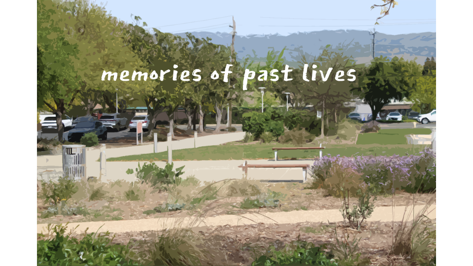 Cover image for memories of past lives
