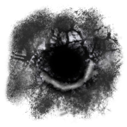 Test I Think He Work