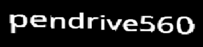 pendrive560