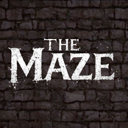 Cover image for The Maze