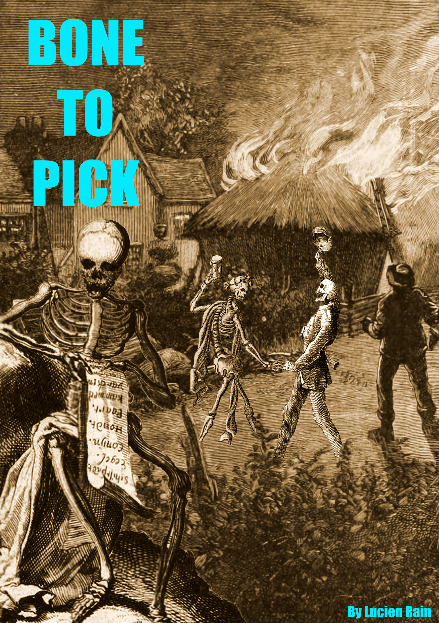 Cover image for Bone To Pick