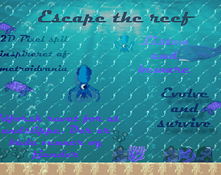 The Reef!
