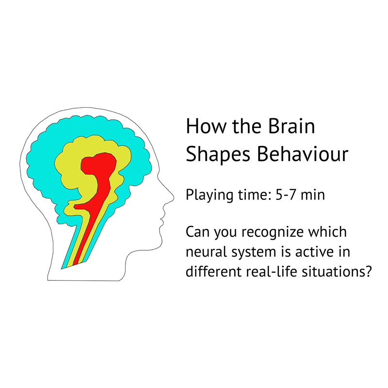 How the Brain Shapes Behavior by Alex