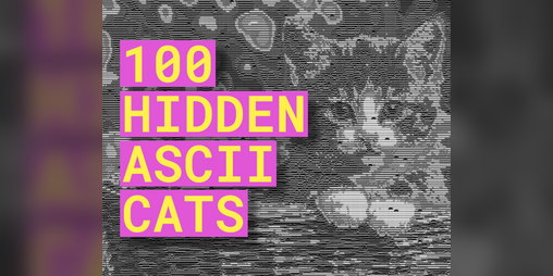 Cover image for 100 Hidden ASCII Cats