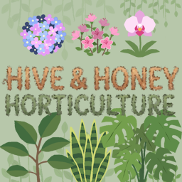 Cover image for Hive & Honey Horticulture