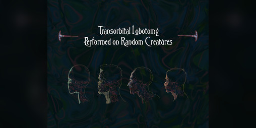 Cover image for Transorbital Lobotomy Performed on Random Creatures