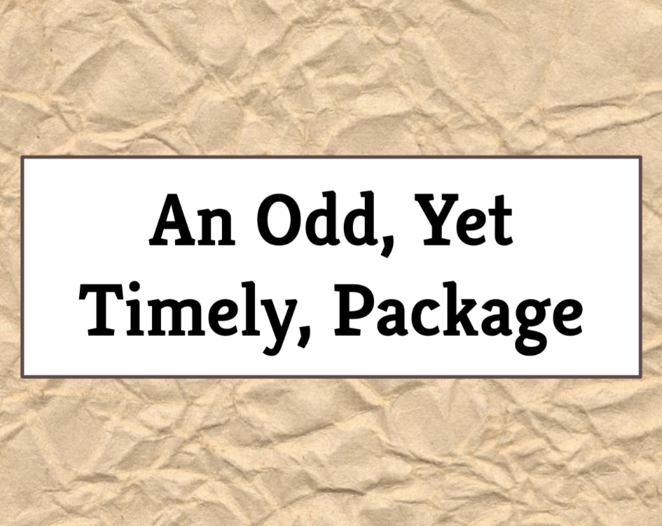 Cover image for An Odd, Yet Timely, Package
