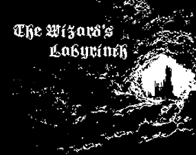 Cover image for The Wizard's Labyrinth