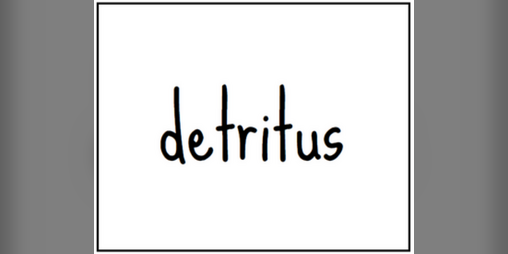 Cover image for detritus