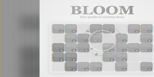 Cover image for BLOOM