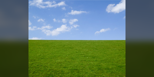 Cover image for there is no such place as an empty field.