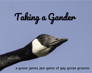 Taking a Gander   - get the gay guy goose groom to his gay goose wedding on time 