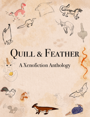 Quill & Feather