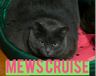Mews Cruise   - A game to play with your cat & a suitcase! 