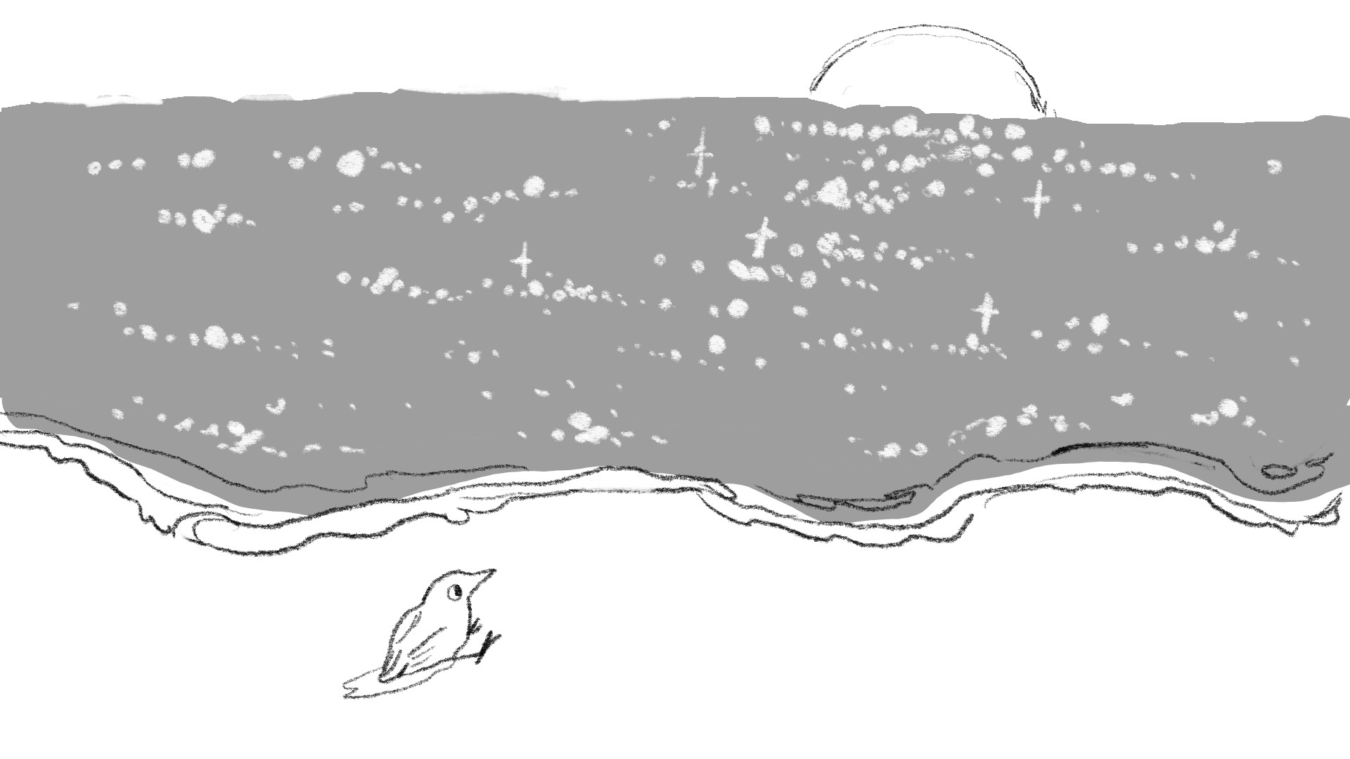 Cover image for Crow and the Sea