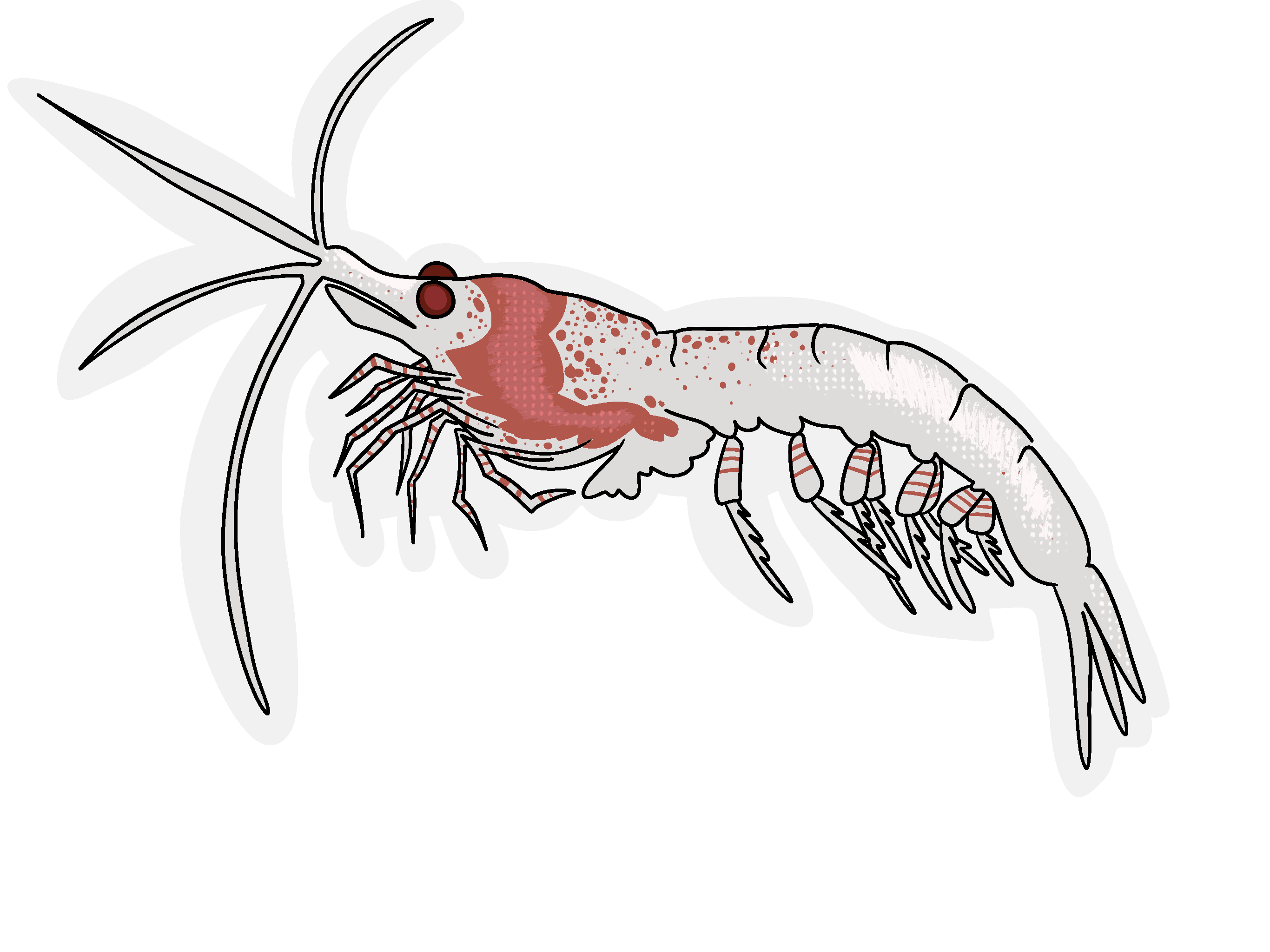 SellFish