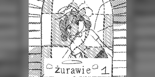 Cover image for żurawie 1