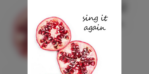 Cover image for sing it again
