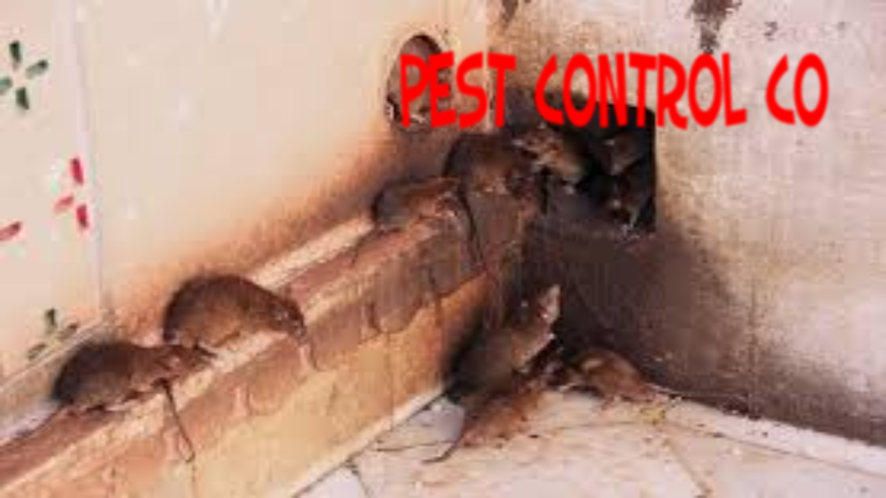 pest control co