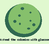 PetriDish