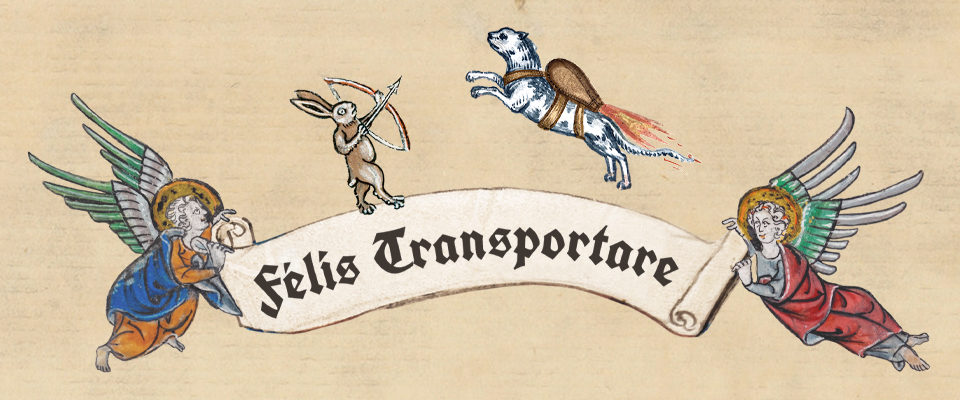 Fēlis Transportare