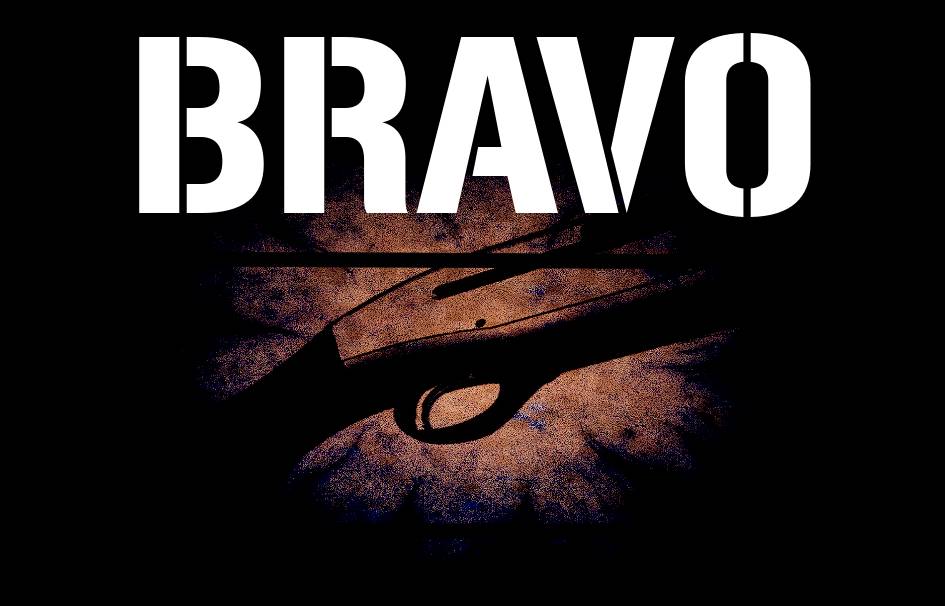 Cover image for BRAVO