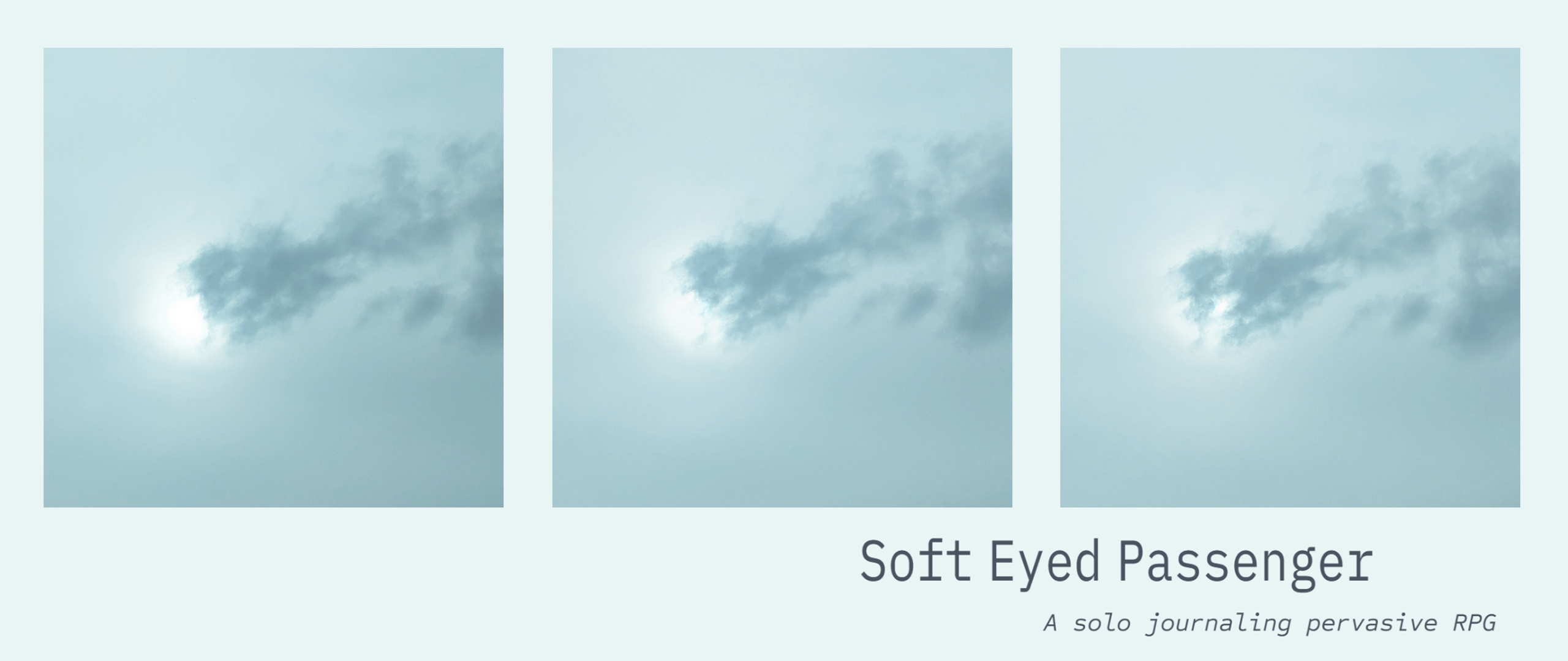 Cover image for Soft Eyed Passenger