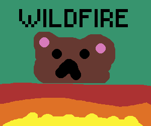 Cover image for WILDFIRE