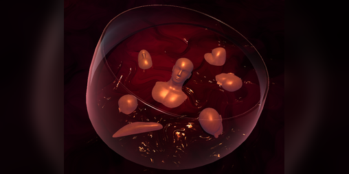 Cover image for The Bitter Shot