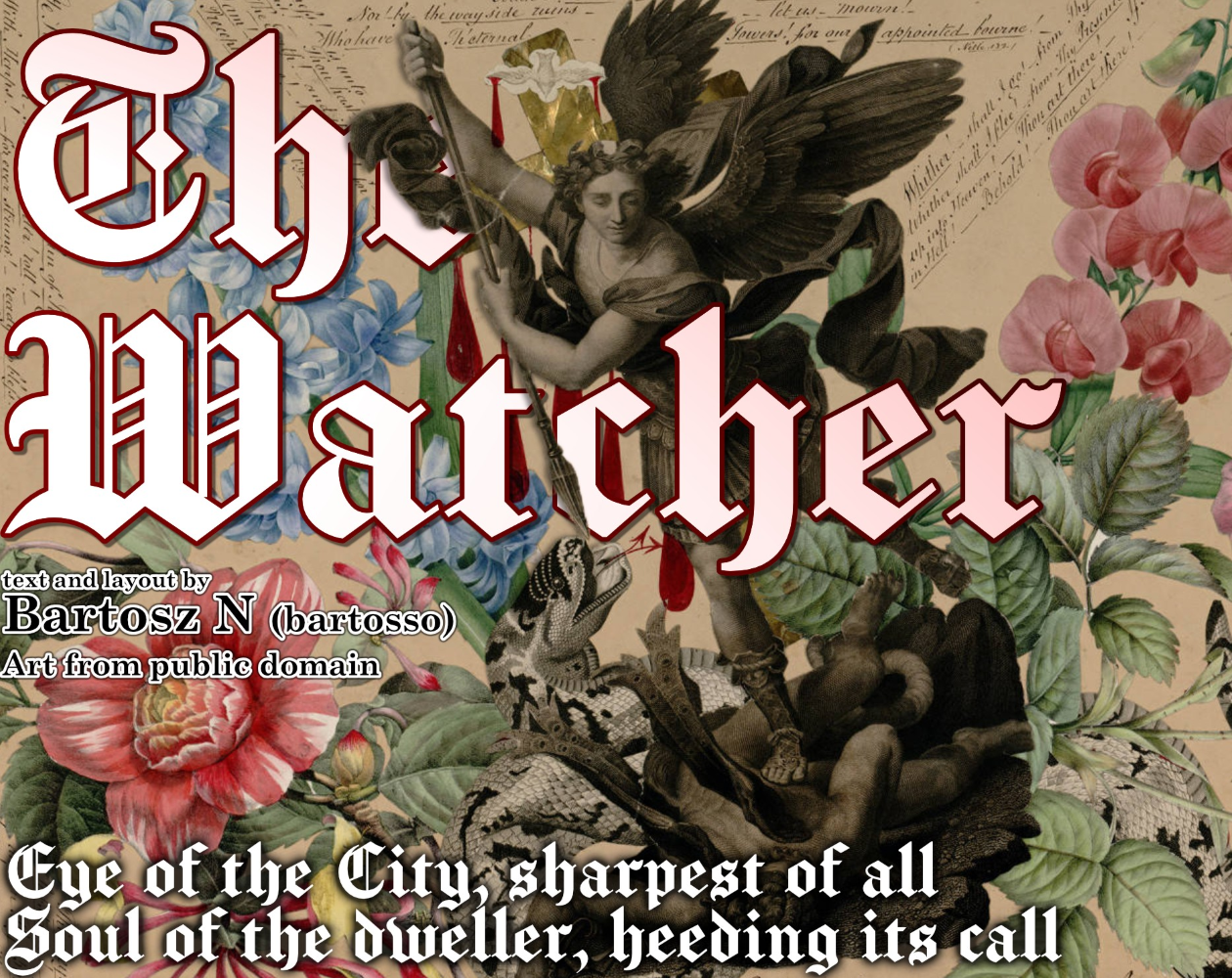 Cover image for The Watcher