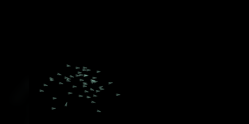 Cover image for Procedural Birds