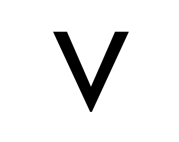 VOID (VAZIO)