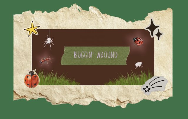 Buggin' Around