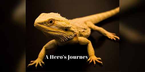 Cover image for A Hero's Journey