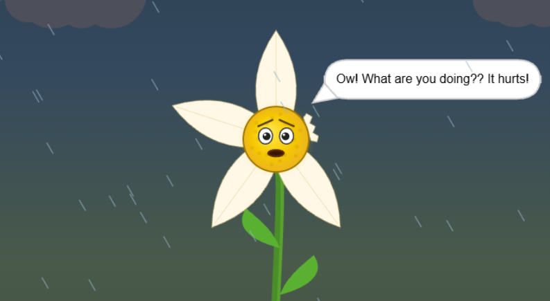 Daisy Brew