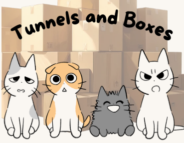 Cover image for Tunnels and Boxes