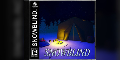 Cover image for SNOWBLIND