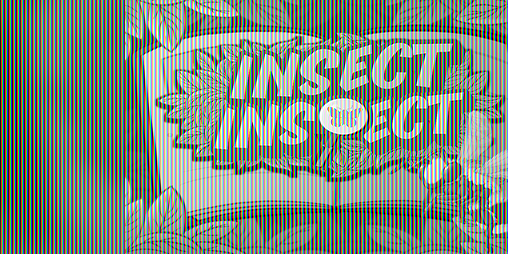 Cover image for Insect Inspect