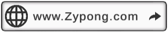 Official Website Zypong