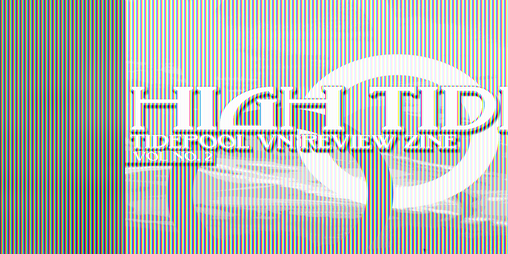 Cover image for High Tide Volume 2