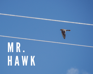 MR. HAWK   - A horror story for Tony Hawk. 